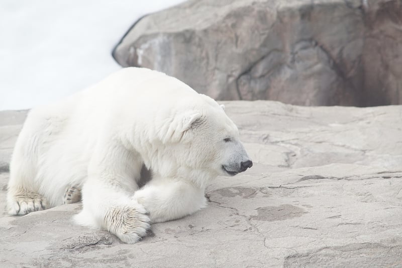 Svalbard